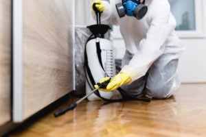 Exterminator Hard at Work in a Hampstead Rental Home